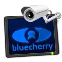 Bluecherry DVR logo