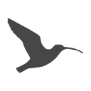 haloy logo