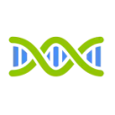 Helical Insight logo