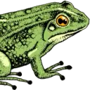 hubgrep_search logo