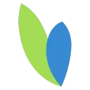 Iva logo