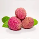 Lychee logo