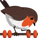 Rotki logo
