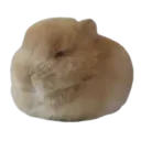 spectral logo