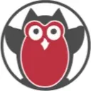 VoyantServer logo