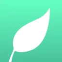 Yggdrasil logo
