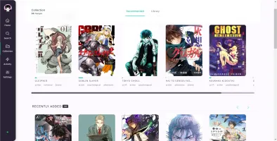 Collection management interface