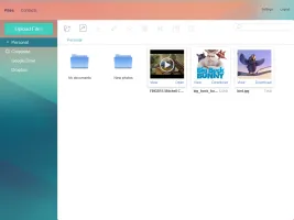 File view interface