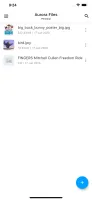 Mobile app: files list