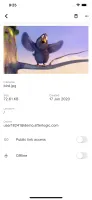 Mobile app: file screen