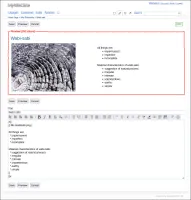 WYTIWYG edit and preview mode