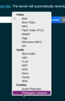 youtube-dl-server screenshot 3