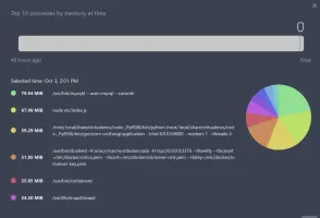 Top RAM-consuming processes over time