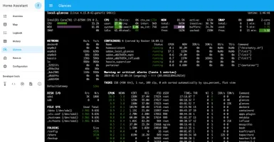 Glances web interface showing system monitoring dashboard