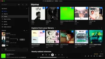 Feishin web client connected to QM-Music server