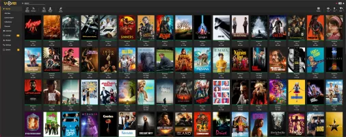 Radarr movie management