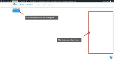 vocechat-server-rust screenshot 8