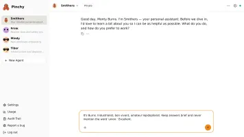 Pinchy chat interface — a team member talking to a scoped AI agent