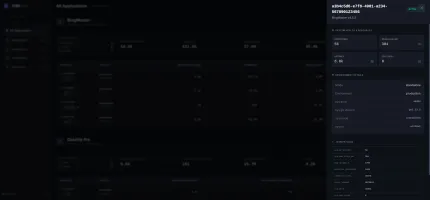 Instance details view