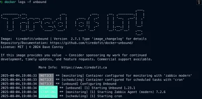 Unbound container logs showing recursive DNS resolution