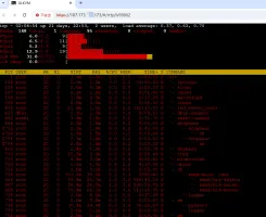 Web-based SSH terminal session