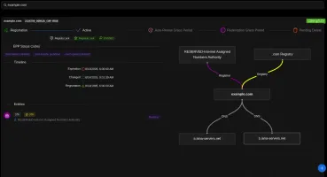Domain search interface
