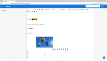 Document editing interface