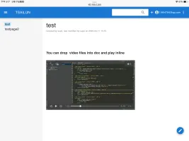 Inline video playback