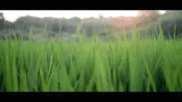 subatic screenshot 6