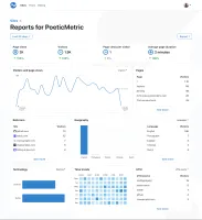 PoeticMetric dashboard showing website analytics overview