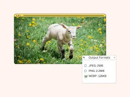 Different image formats and reduced file size comparison