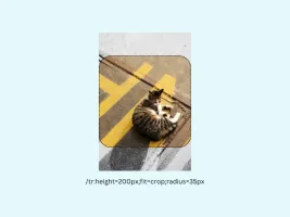Image cropped to profile picture dimensions with rounded corners
