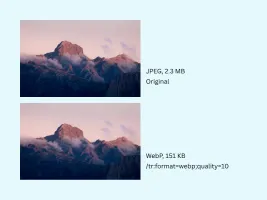 Format conversion and quality adjustment reducing file size