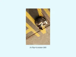 Image rotation and flip transformations