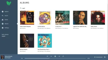 Desktop interface showing music library