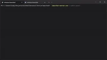 Server diagnostics (doctor) output