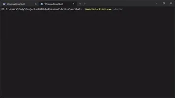 Client diagnostics (doctor) output