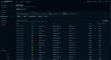 Access logs table with filters and a selected request