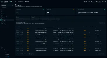 Debug logs page showing raw log lines and parse failures