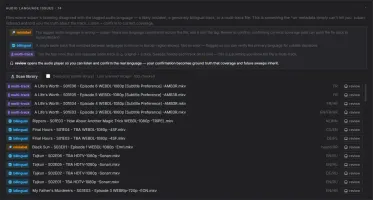 Audio language issues panel showing mislabeled, bilingual, and multi-track files