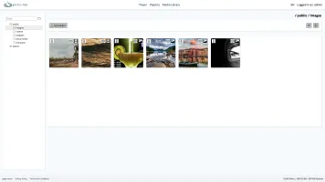 Media Pool icon view