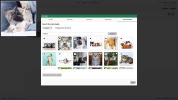 Uploader interface with stock platform integration