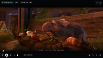 Video playback in the web player with subtitles and controls