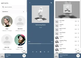 Mobile responsive interface