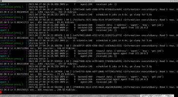 Docker Compose services starting in terminal