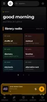 The home page on a phone