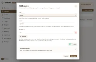 Add Provider dialog in the GoModel admin dashboard