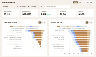 Usage analytics view of the dashboard