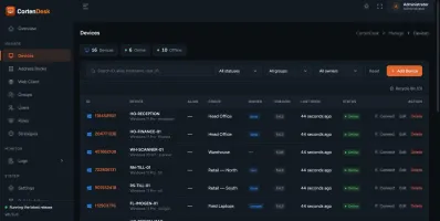 Devices screen listing machines with online status, device group, owner, client version, and last-seen time