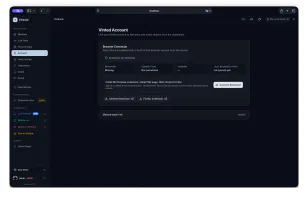 Linked Vinted account view